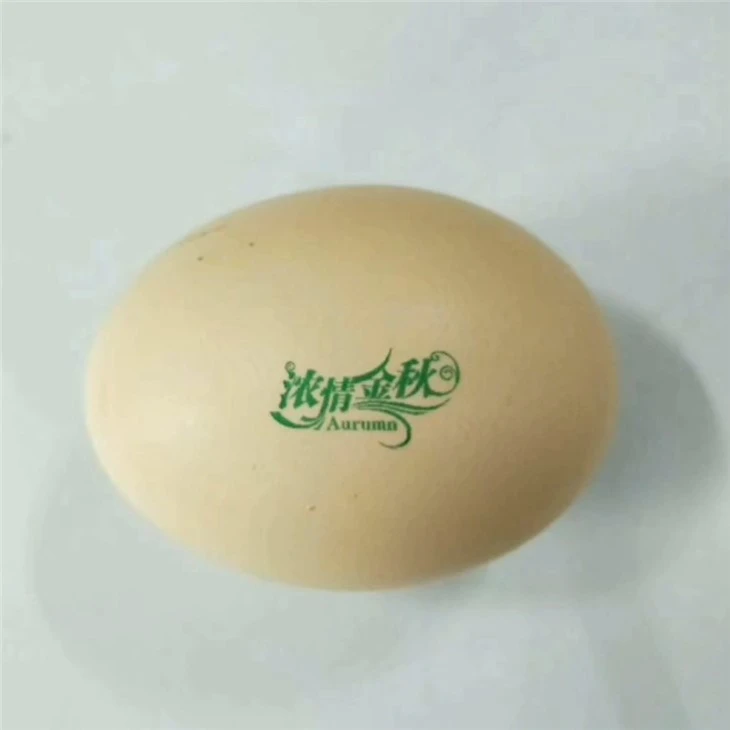 Printer Printing Machine Egg