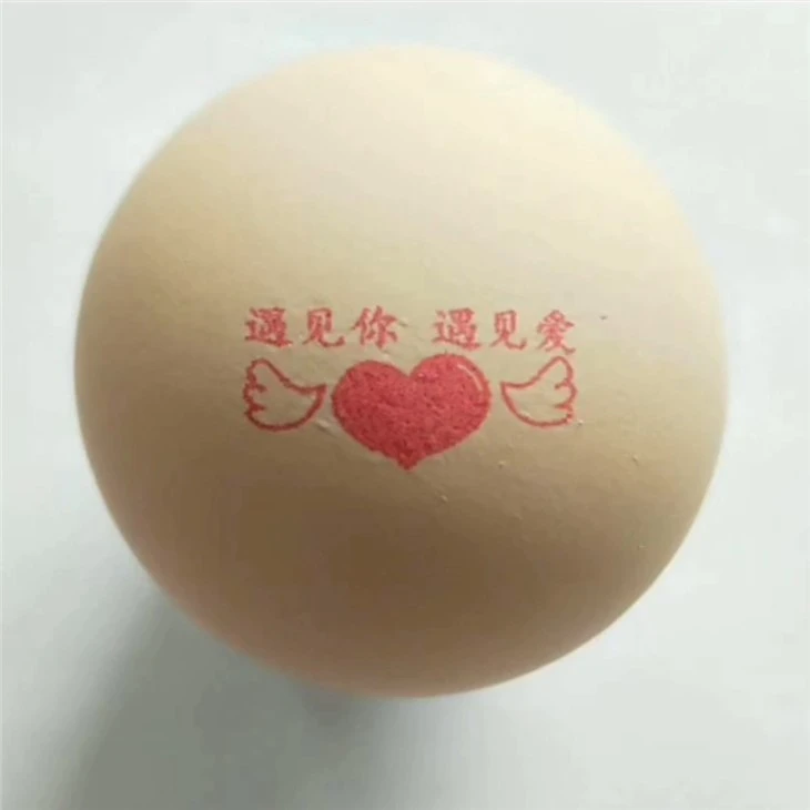 Printer Printing Machine Egg